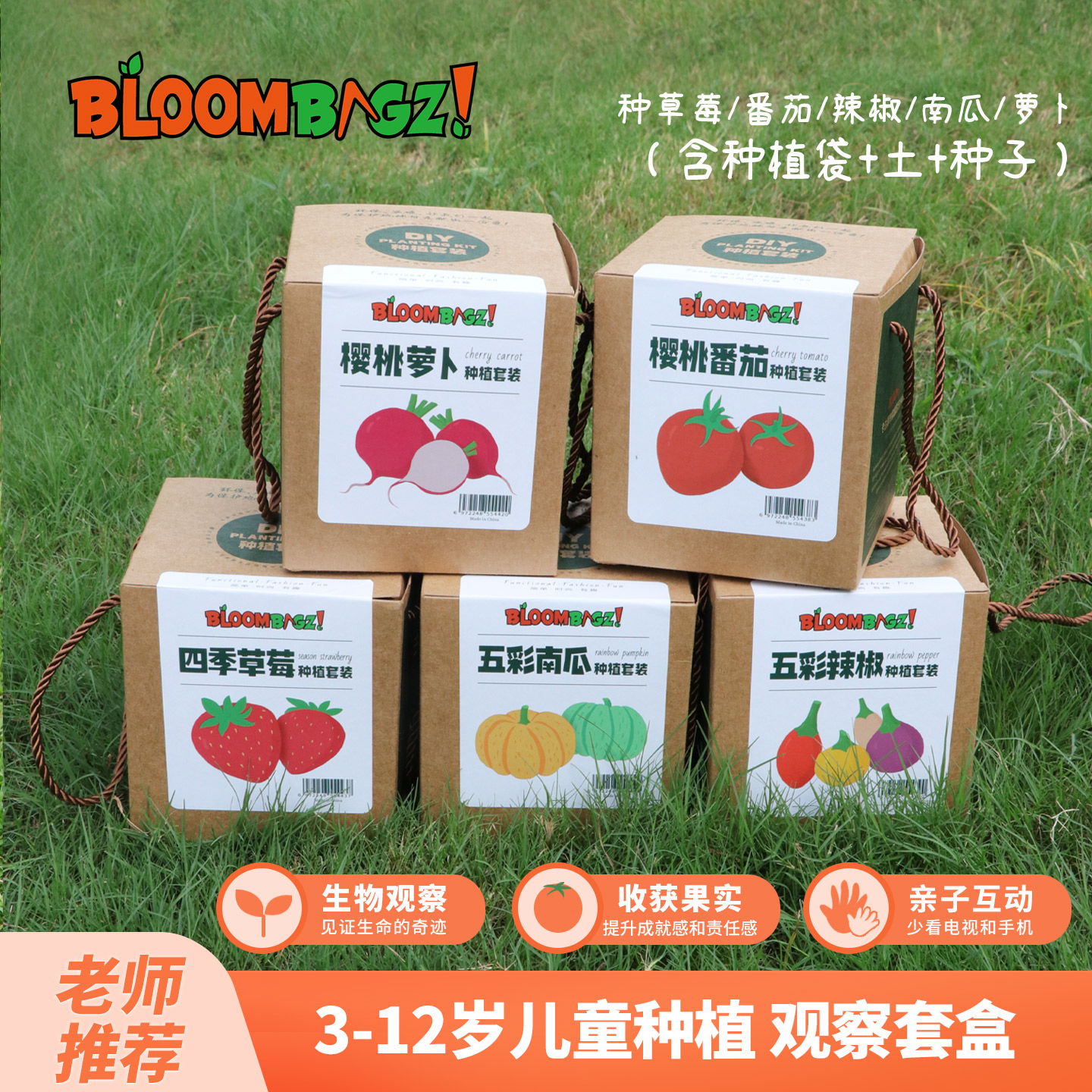 bloombagz从种子种起种植套装