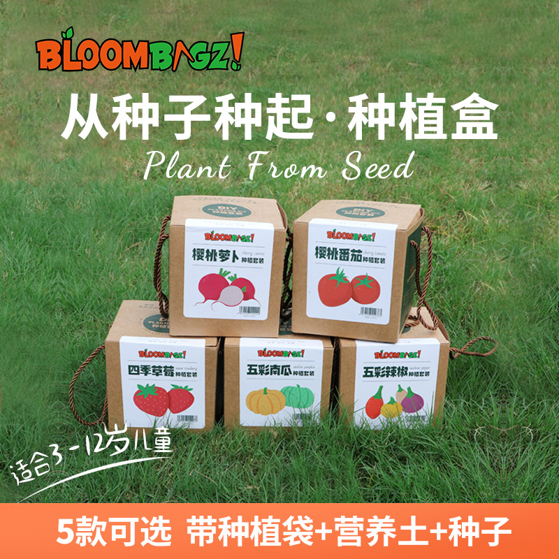 bloombagz儿童种植套装 从种子种起小盆栽 萝卜南瓜番茄草莓辣椒 鲜花速递/花卉仿真/绿植园艺 花盆 原图主图