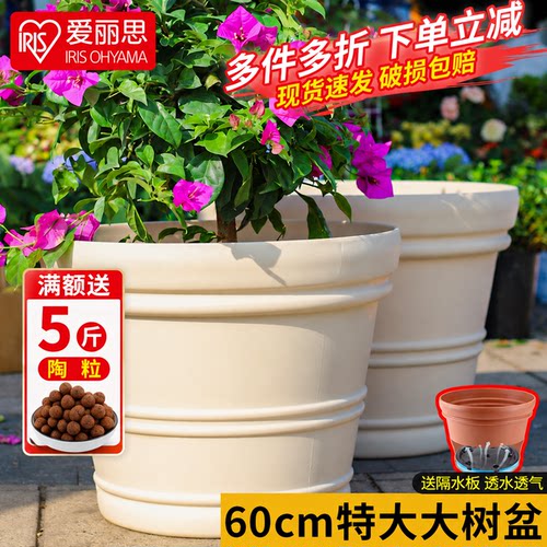 爱丽思大树盆可种树耐用10年