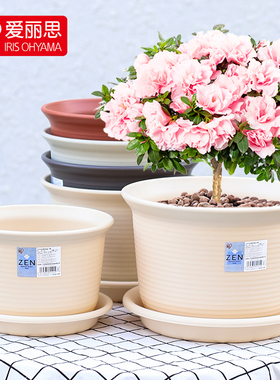 爱丽思加厚加仑树脂圆形中钵绿萝多肉月季花盆仿陶瓷爱丽丝塑料盆