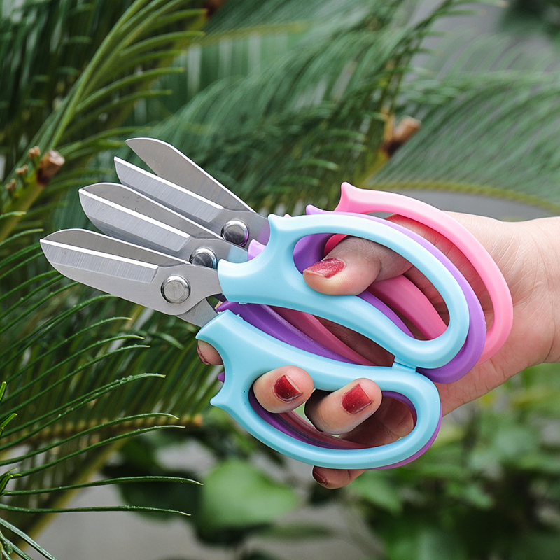 园艺花艺剪刀宽头家用花剪鲜花花道剪花枝树枝玫瑰修花修枝工具