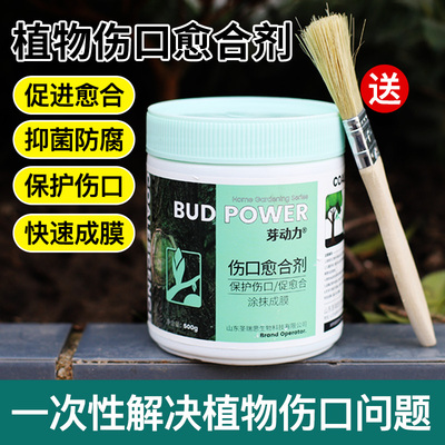 植物伤口愈合剂苗木嫁盆景封口胶