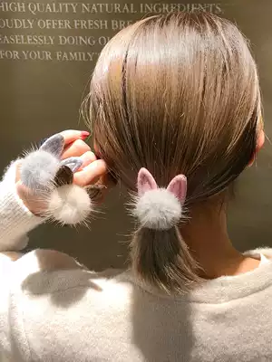 Tie rope 2021 new female Korean Net red hair ball Hairband Hairband leather band leather simple Korean version of temperament