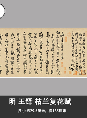 王铎 枯兰复花赋  成人初学者入门练习字帖 书法毛笔行书手卷卷轴