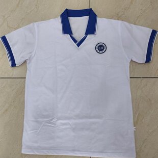 岳阳雅礼校服夏季短袖文化衫夏季正装