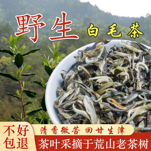 仁化红山野茶纯野生白毛茶口感甘甜微苦回甘好新茶韶关茶叶