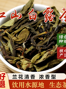 爆款力荐广东仁化红山白露茶 兰花香口感非常清香大叶茶 绿茶