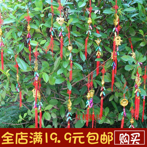 植物盆景小挂件中国节过年乔迁装饰喜庆用品元宝钱袋花生竹子挂饰