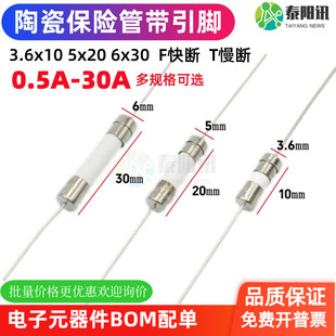 陶瓷带引脚保险丝管3.6*10/5*20/6x30 0.5A1A2A3A5A10A20A25A30A