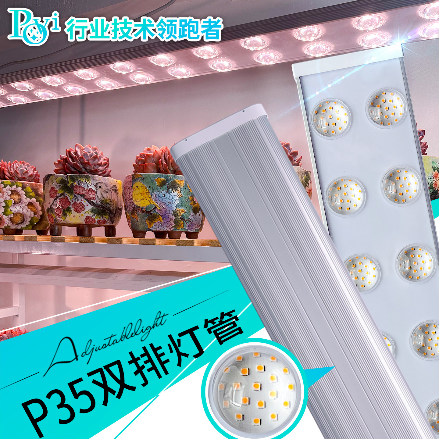 植物生长多肉补光上色鹿角蕨绿植