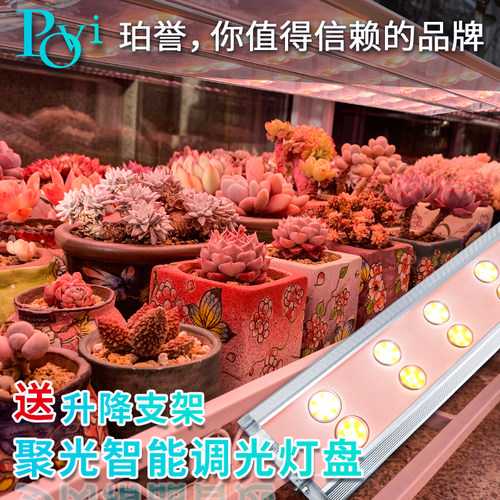 Led植物补光灯价格 Led植物补光灯图片 星期三