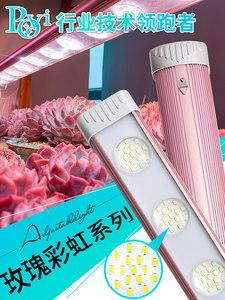 珀誉多肉防徒上色全光谱led绿植鹿角蕨龙舌兰防太阳光生长补光灯