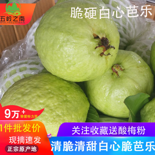 抢！广西脆软白心芭乐5斤装