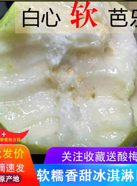 广西软糯软心芭乐5斤水果现摘当季奶软白番石榴新鲜芭乐果园直发