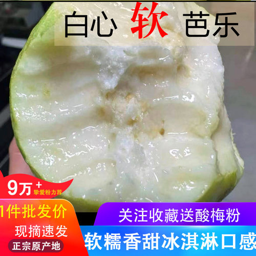 抢！软糯奶油芭乐5斤净重