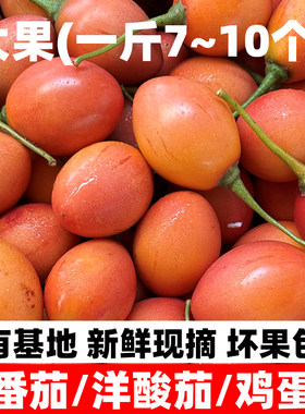 云南大树番茄树酸茄洋鸡蛋果新鲜
