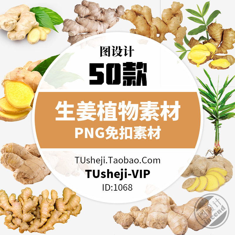 生姜植物元素图案 png免抠图片 透明背景 生姜片ps素材