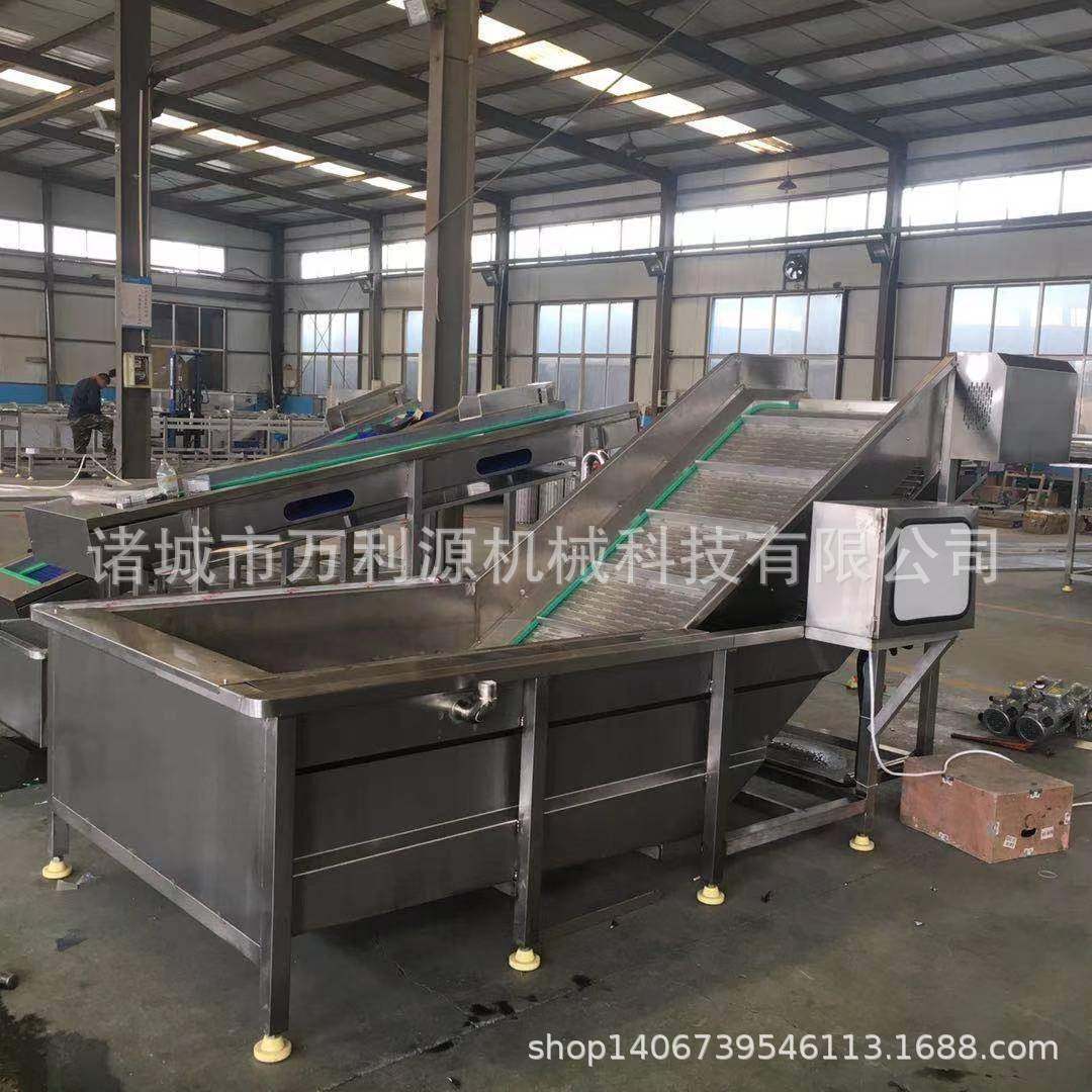 全自动果蔬气泡清洗机冲浪式西红柿清洗线小番茄圣女果清洗设备,工业油品/胶粘/化学/实验室用品,其他实验室设备,淘宝优惠券,粉丝福利购,淘宝优惠卷