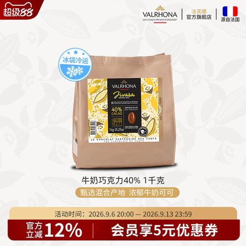 法国进口家庭巧克力豆牛奶巧克力