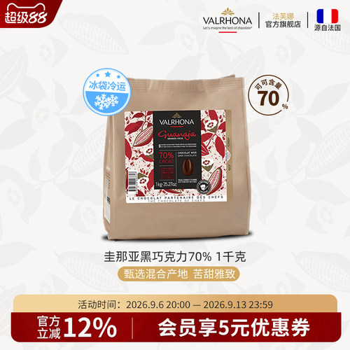 法国原装进口巧克力豆币蛋糕