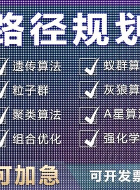 matlab路径规划遗传蚁群粒子群算法代做Python强化学习多目标优化