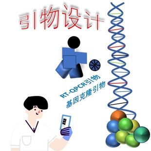 基因克隆、RT-QPCR引物设计