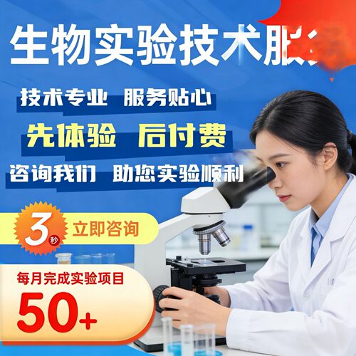 性原理计算 VASP计算 MS VASP 教程 DFT计算 计算 代算 咨询