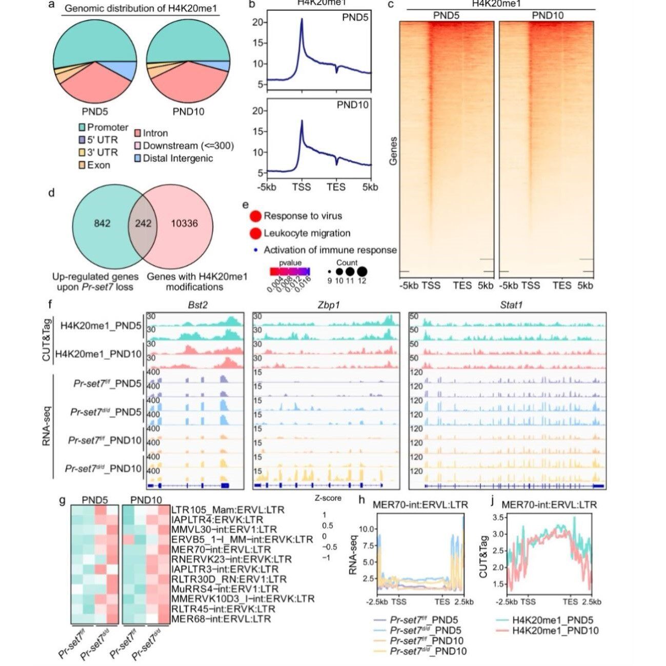 RNAseq差异表达lncRNAmiRNA多组学蛋白组代谢组