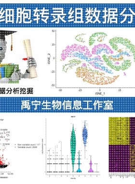生信分析服务TGGA数据挖掘GEO网络药理学单细胞测序空间转录组急