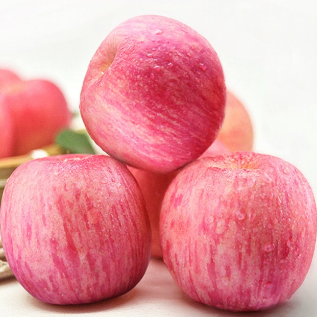 洛川苹果鲜香脆甜高品质产地直发