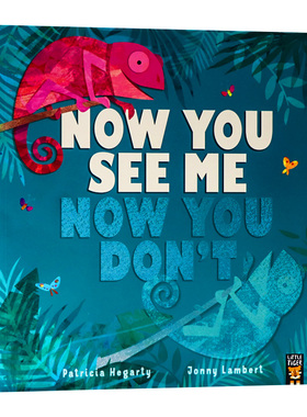 现在你看到我了 英文原版绘本 Now You See Me, Now You Don't儿童睡前读本故事书 英国小老虎出版 Patricia Hegarty著作平装版