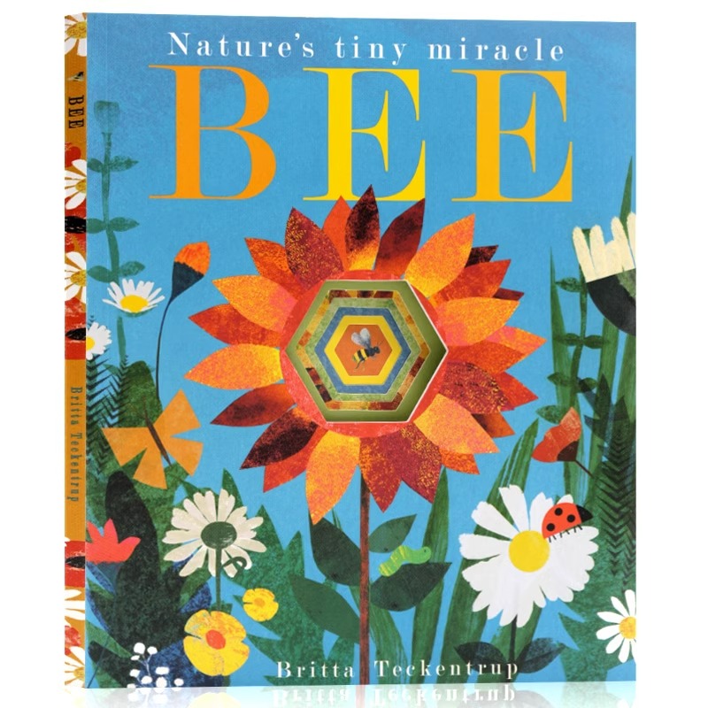 蜜蜂Bee英文原版科普绘本
