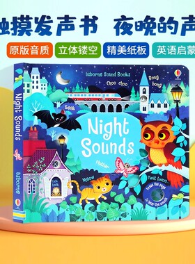 Usborne出品 奇妙触摸发声书 夜晚的声音 英文原版绘本 Night Sounds 聆听夜晚的各种声音 Usborne低幼启蒙尤斯伯恩进口英语纸板书