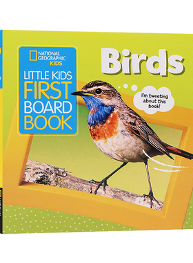 国家地理儿童鸟类 英文原版绘本  Little Kids First Board Book: Birds 儿童科普纸板书Ruth Musgrave亲子互动学习科普儿童图画书