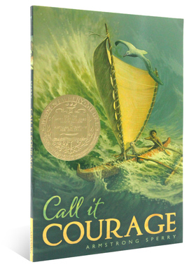 纽伯瑞金奖 勇气  英文原版小说 Call it Courage 你那样勇敢儿童文学作品中小学生课外阅读拓展Armstrong Sperry平装进口书籍