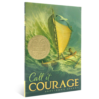 纽伯瑞金奖勇气英文原版小说