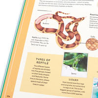 DK Premium Explore A Collection of Maps and DiagramsThat Explain the World English Original Edition Beautifully illustrated Picture book thumbnail 4