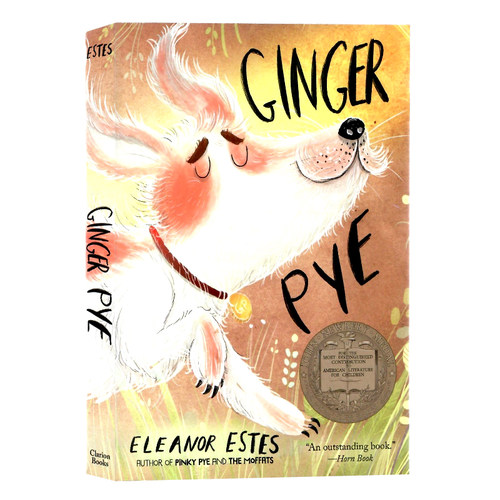 纽伯瑞金奖派伊家的金吉儿小说