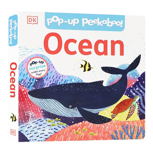 DK出版 3D躲猫猫立体纸板翻翻书 Pop-Up Peekaboo Ocean 海洋动物认知儿童英语启蒙科普读物亲子互动英文原版精装全彩绘本3岁+