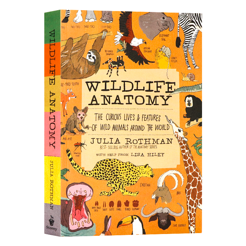 茱莉亚罗斯曼解剖学系列野外生活解剖学 英文原版 Wildlife Anatomy 儿童插图科普启蒙读物 大自然解剖科普 平装  Julia Rothman