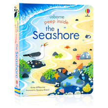 Usborne偷偷看里面系列 海滩 纸板翻翻书洞洞书 英文原版绘本 Peep Inside the Seashore 幼儿启蒙认知机关游戏书边玩边学尤斯伯恩