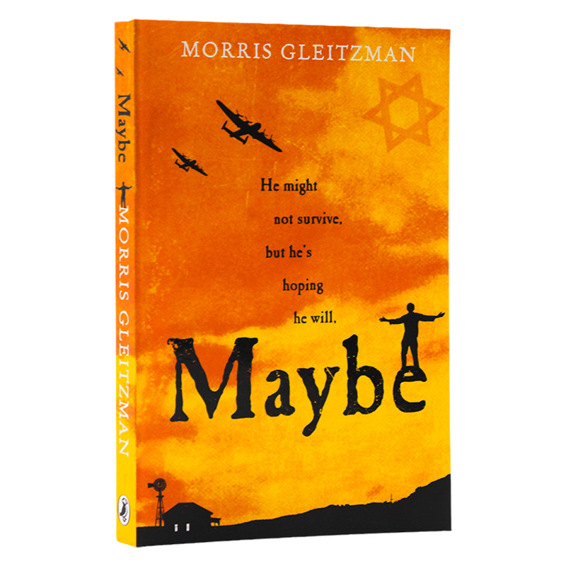 也许吧英文原版小说Maybe