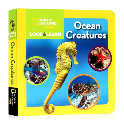 海洋生物英文原版绘本