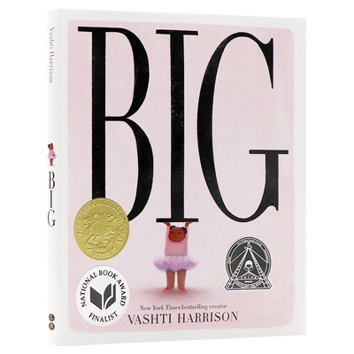 凯迪克金奖大女孩英文原版绘本