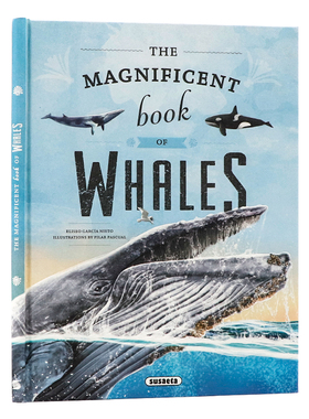 神奇鲸鱼大百科 英文原版绘本 The Magnificent Book of Whales 儿童海洋哺乳动物科普 启蒙认知读物 环保意识启蒙 课外阅读拓展