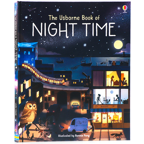 Usborne夜晚之书图画书