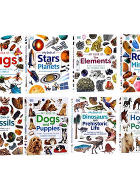 DK儿童岩石与矿物百科英文原版 My Book of Rocks and Minerals 青少年科普百科读物岩石宝石矿物全彩图解指南课外拓展阅读书