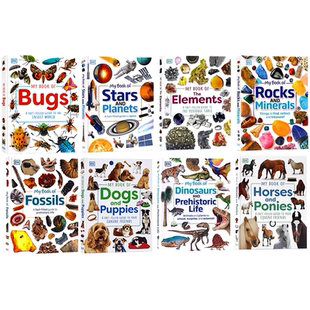 Book Rocks and 青少年科普百科读物岩石宝石矿物全彩图解指南课外拓展阅读书 DK儿童岩石与矿物百科英文原版 Minerals