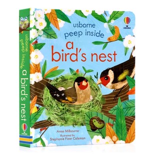 Inside Bird Usborne英文原版 Nest Peep 科普认知纸板翻翻书洞洞书早教启蒙游戏书 绘本偷偷看里面系列鸟巢英语读物