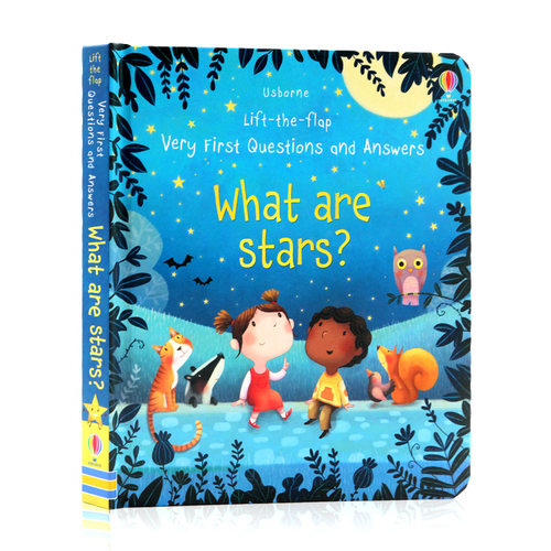 Usborne英语启蒙翻翻书英文原版